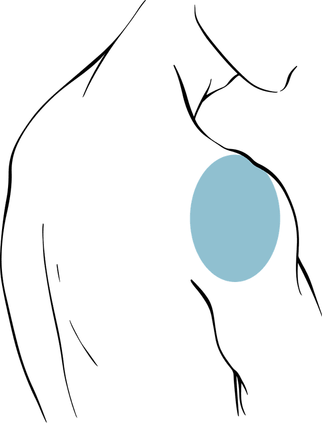 Shoulder